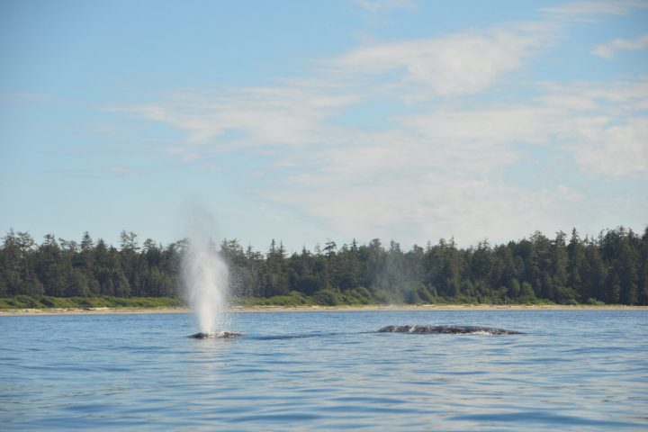 a body of water with smoke coming out of a lake