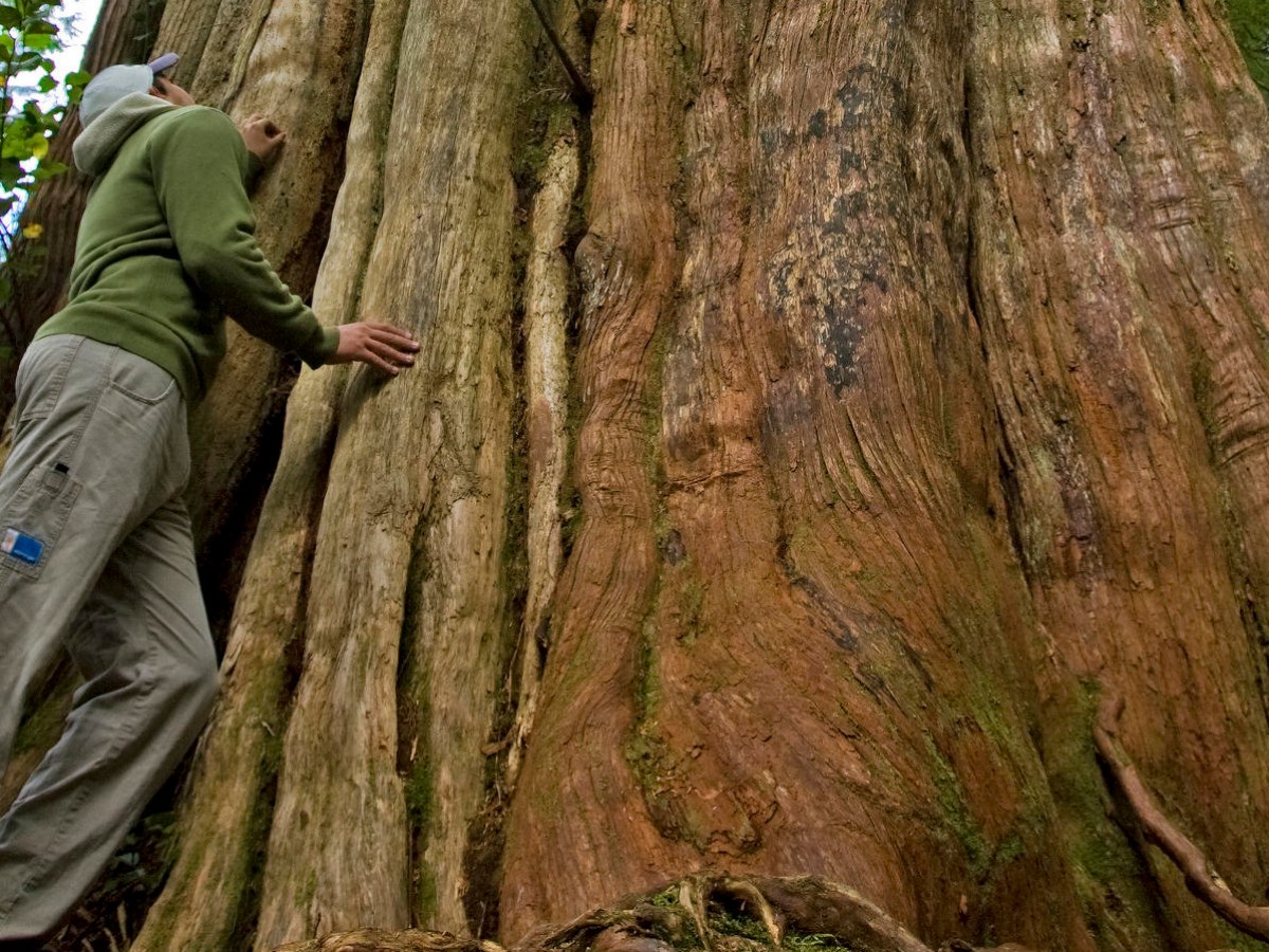 a man standing next to a tree