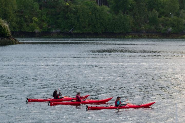 Three people in red kayaks paddling on a lake with forested mountains in the background.