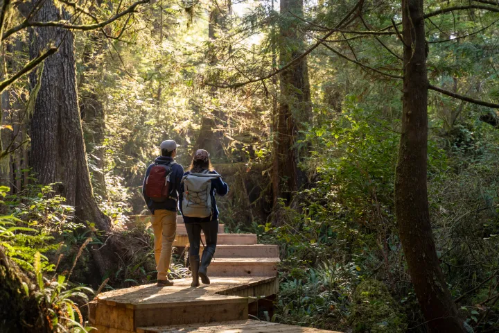 a man standing next to a tree in a forest