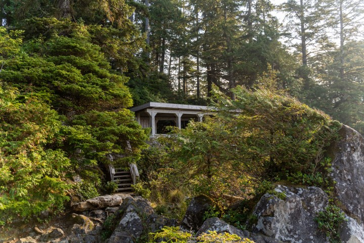 a waterfall surrounded by trees