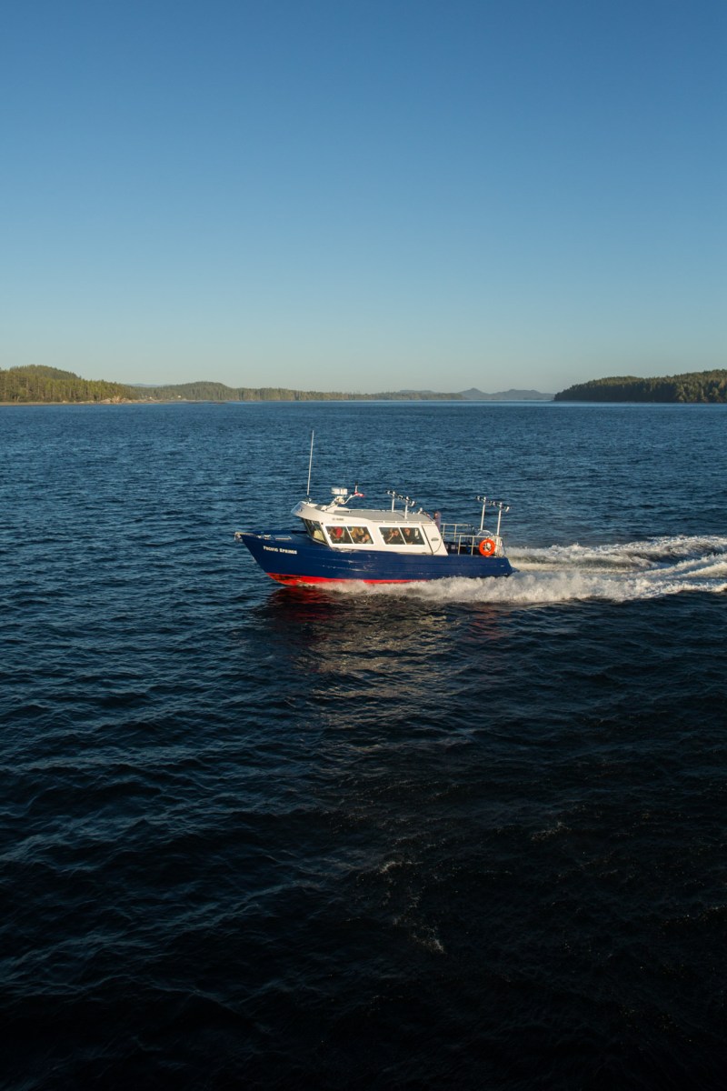 Jamies-Whaling-Station-Pacific-Springs-3 a small boat in a large body of water