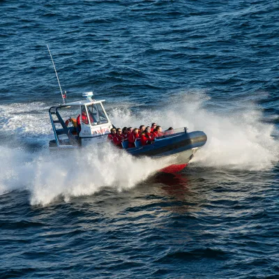 people riding on a whale watching zodiac