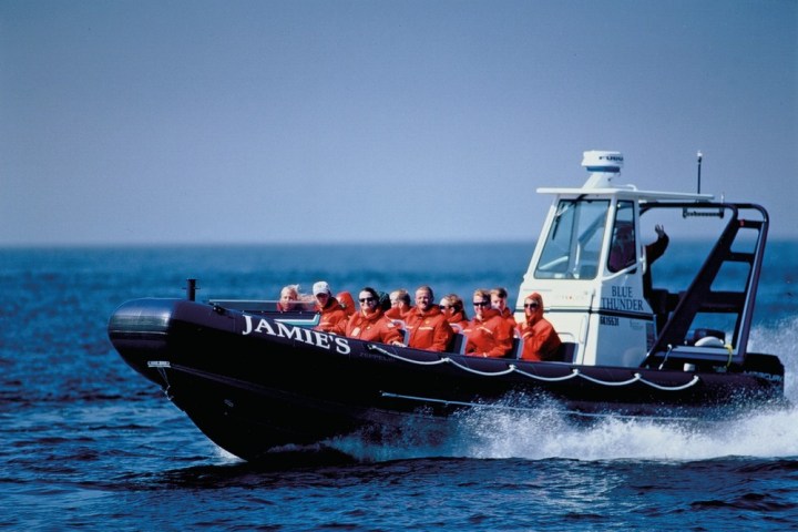 a small boat in a body of water