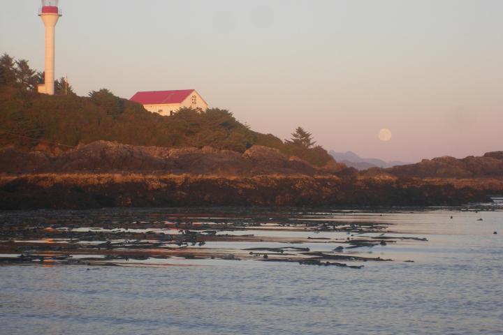 a beach with a sunset in the background