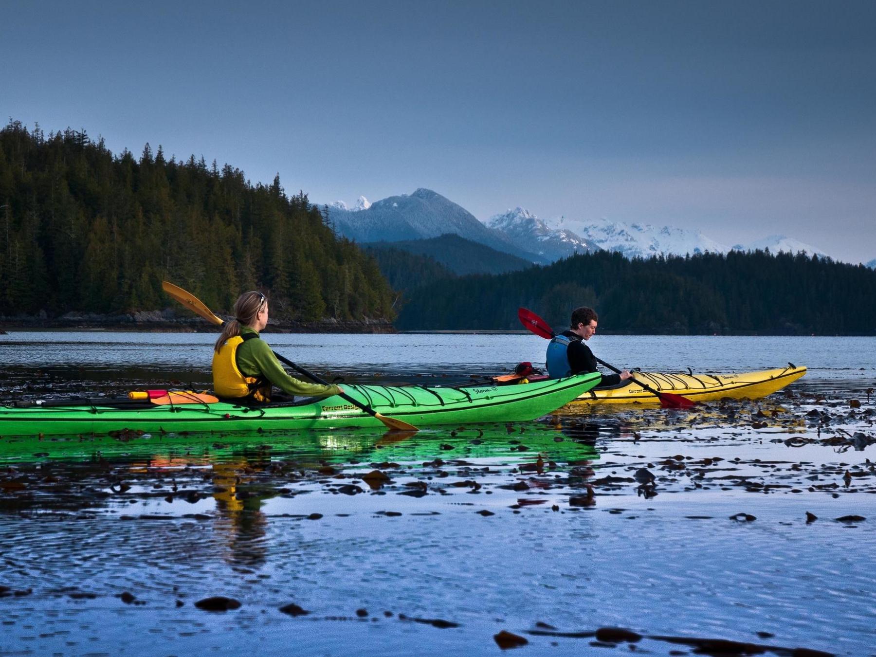 a group of people riding skis on a body of water