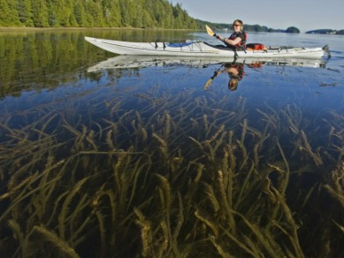 a small boat in a body of water