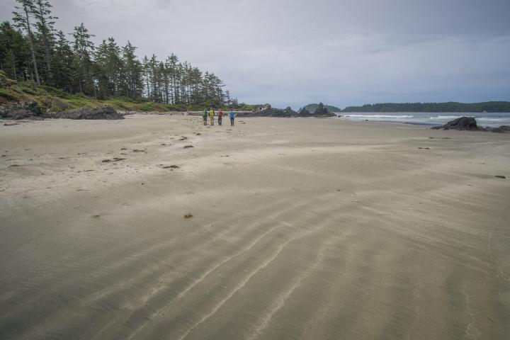 a sandy beach next to a body of water