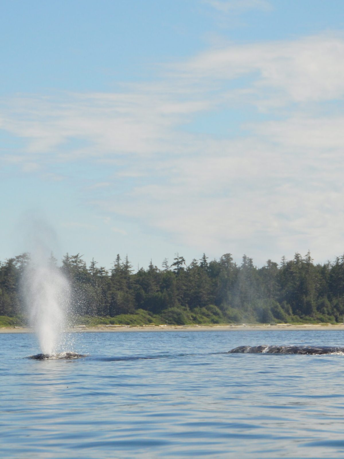 a body of water with smoke coming out of a lake