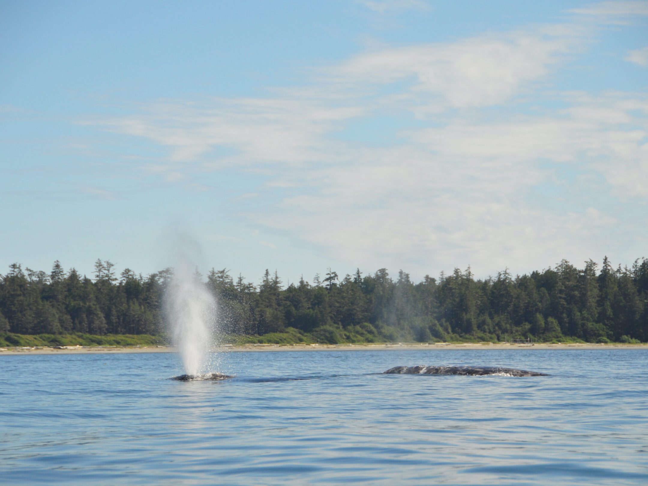 a body of water with smoke coming out of a lake