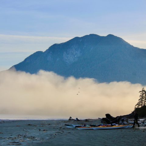 a body of water with a mountain in the background