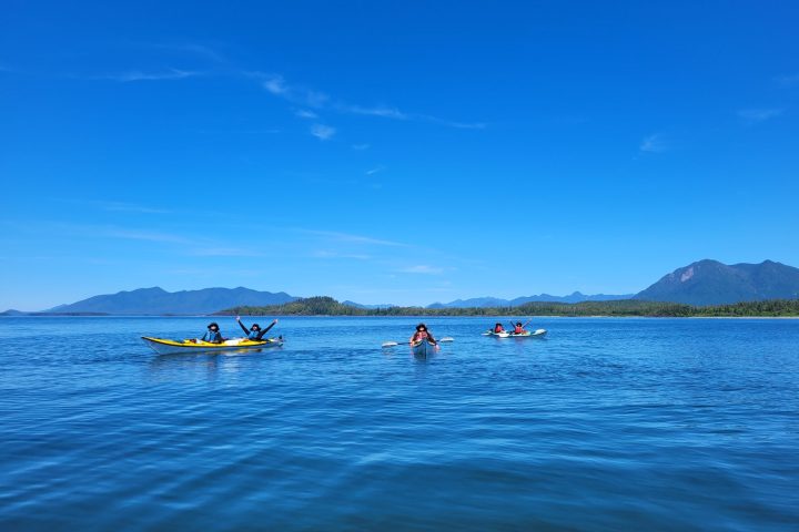 a group of people swimming in a body of water