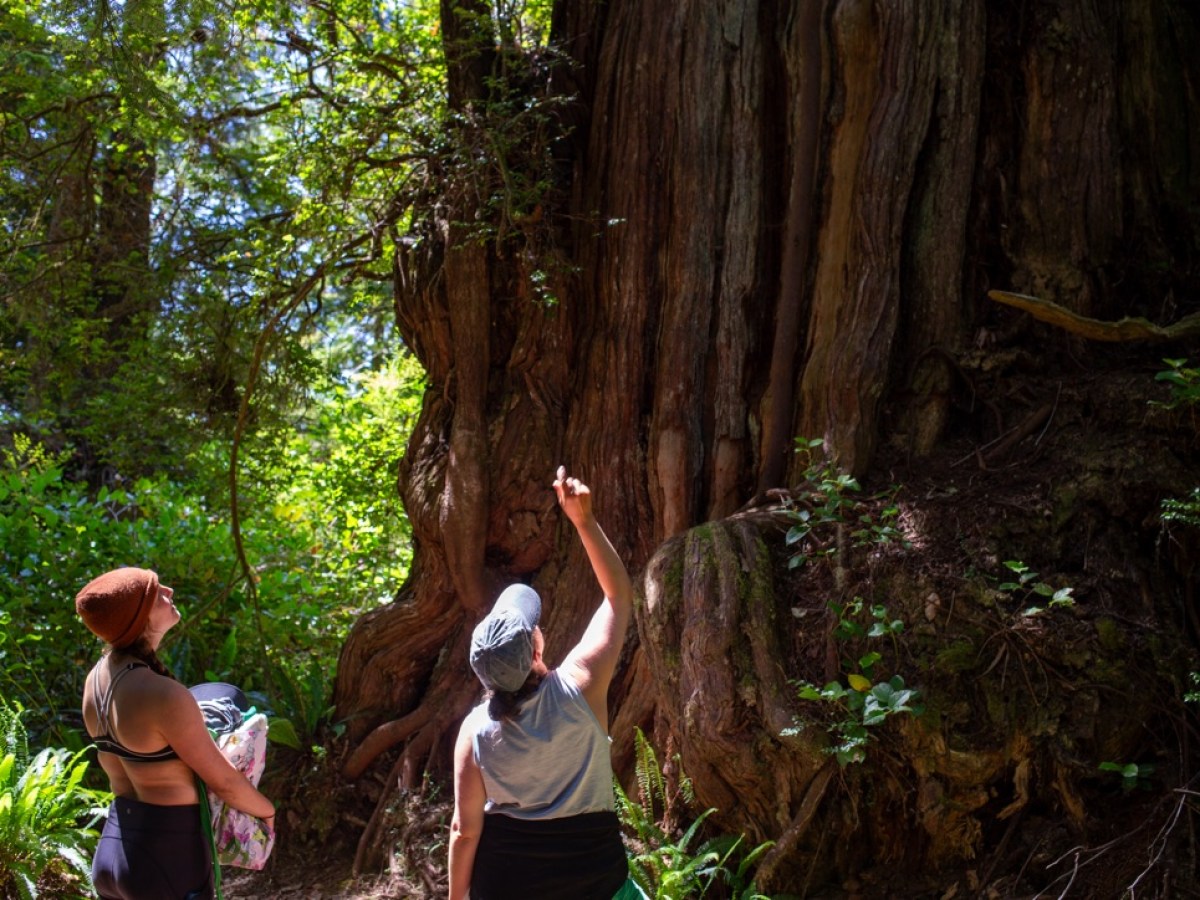 a man standing next to a tree