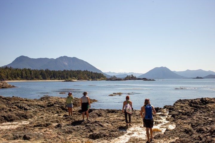a group of people on a beach near a body of water