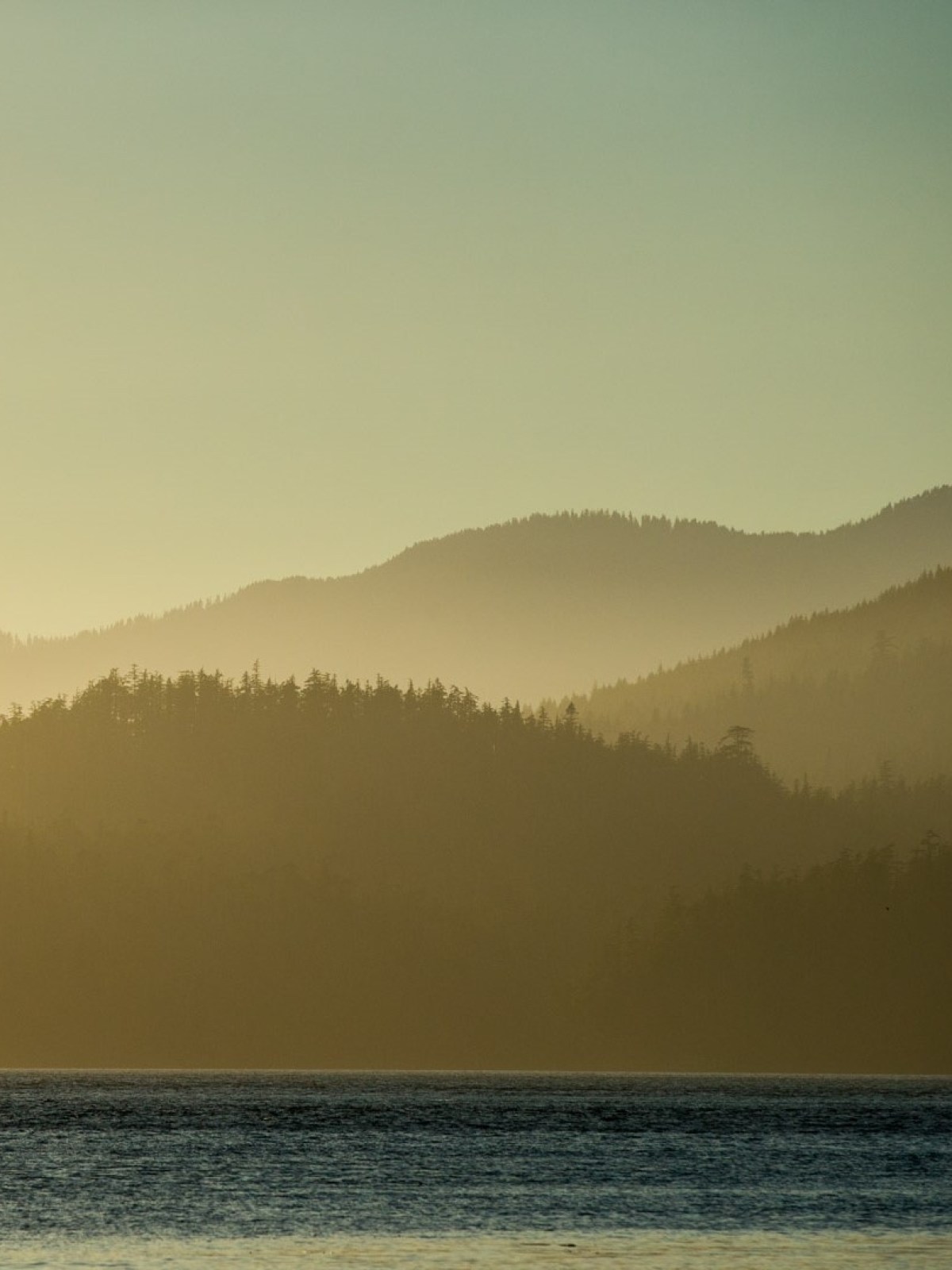a group of people on a beach with a mountain in the background