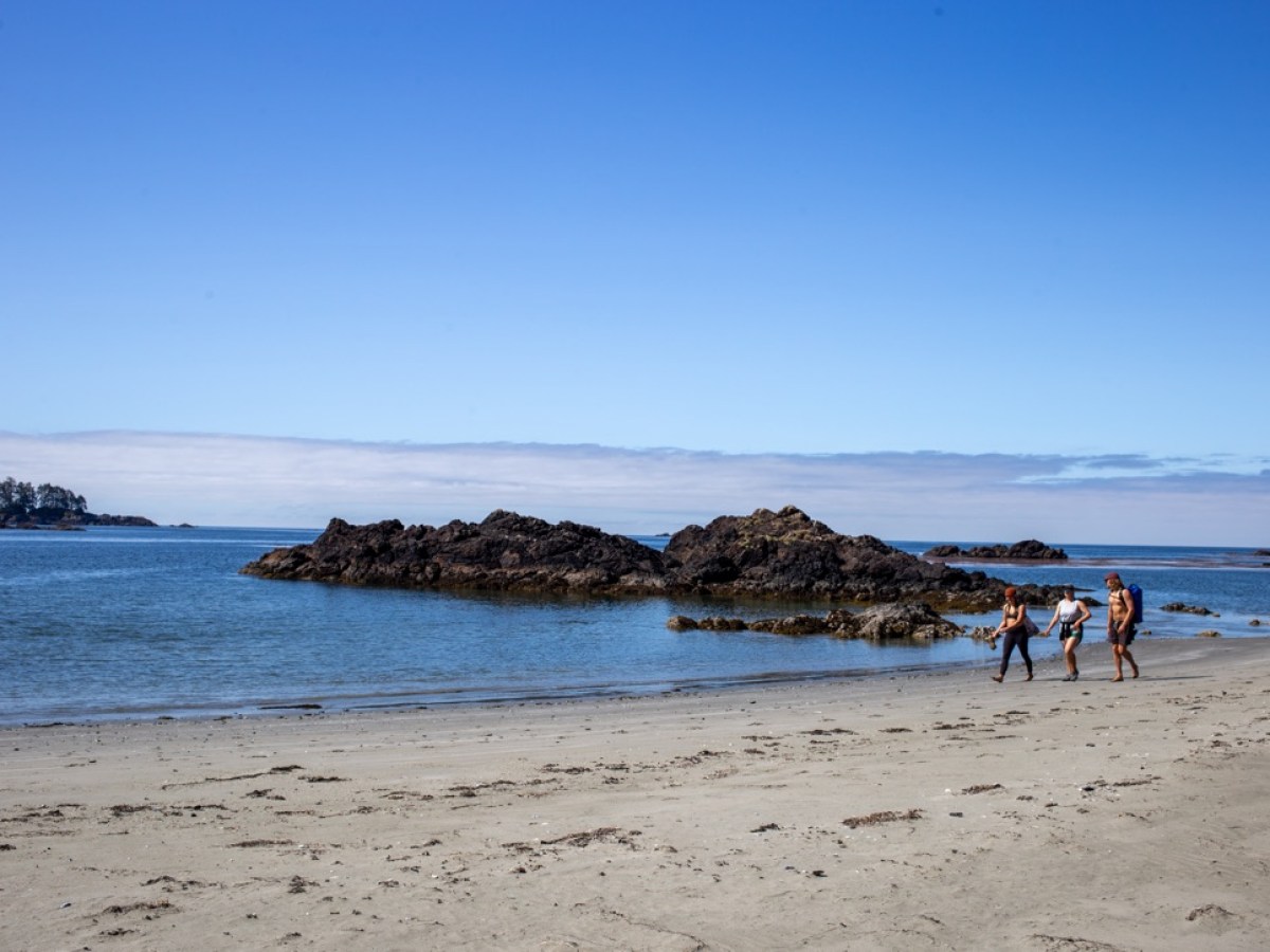 a group of people on a beach