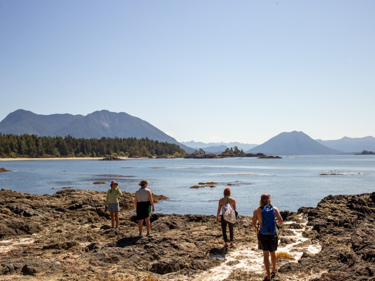 a group of people on a beach near a body of water