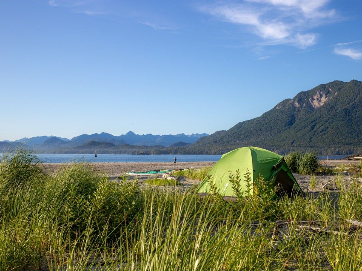a large green field with a mountain in the background