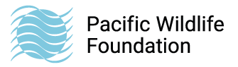 pacific wildlife foundation