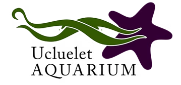 ucluelet aquarium