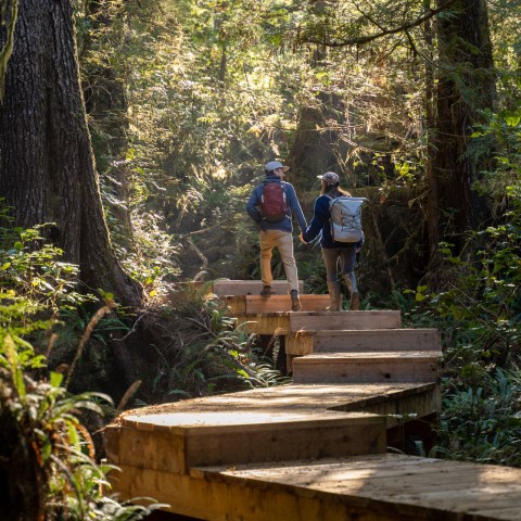 Two hikers with backpacks walking on a wooden path in a forest.