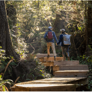 Two hikers with backpacks on a wooden trail in a lush forest.
