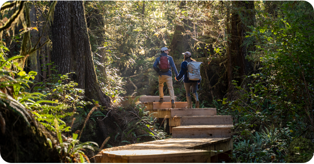Two hikers with backpacks on a wooden trail in a lush forest.