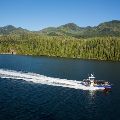 Boat traveling fast on blue water near a forested shoreline and mountains under a clear sky.