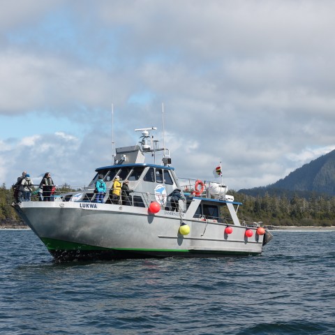 Boat with people and colorful buoys on ocean near forested coastline.