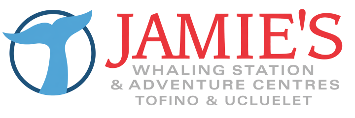 Jamie’s Whaling Station & Adventure Centres